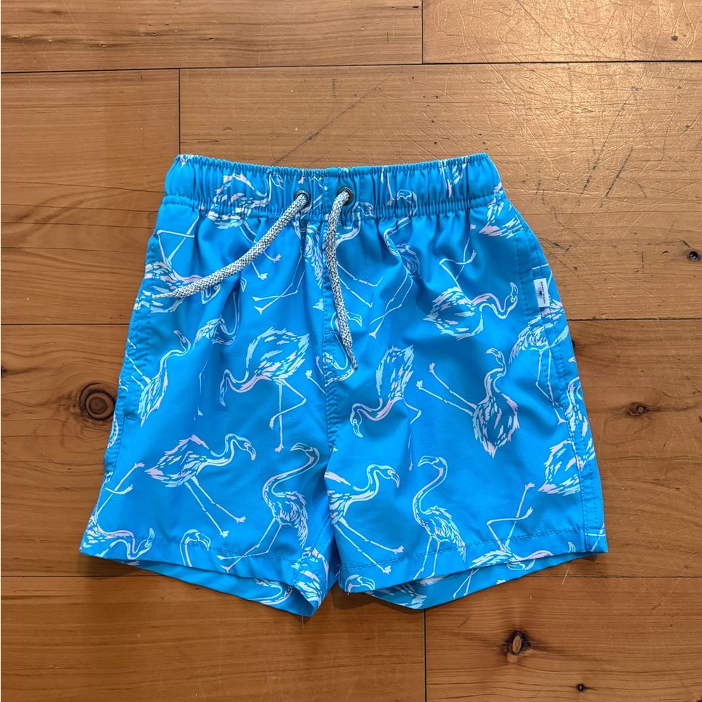 Kids Flamingo Print Swim Trunks - Blue Sz 7